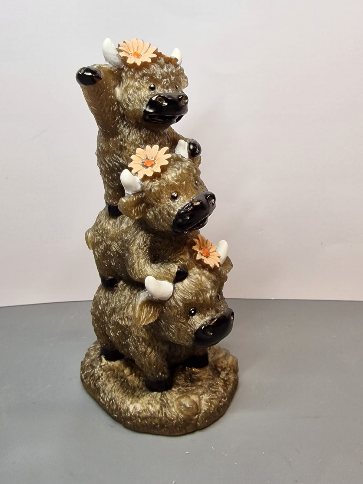 Stacked highland cows with cream flowers